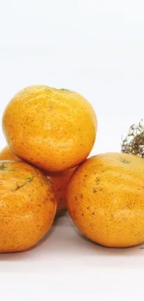 citrusrens